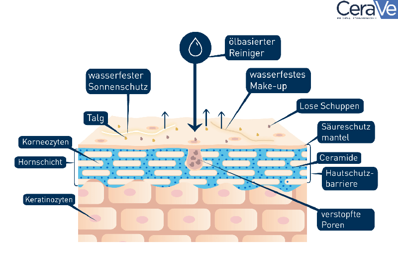 Grafik der Haut und der ölbasierten Reinigung beim Double Cleansing